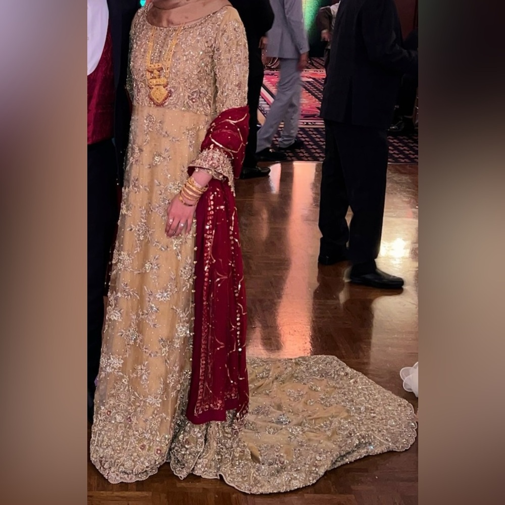 Pakistani/Indian Wedding Dress - Picture 3 of 15